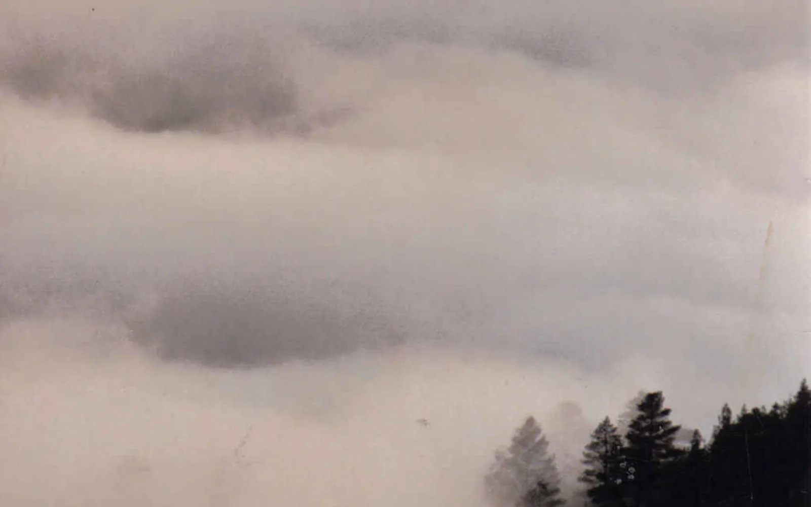 Fog viewed from above, showing the marine layer that creates coastal fog conditions